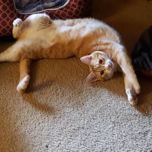 Meet your Posher, Sandra